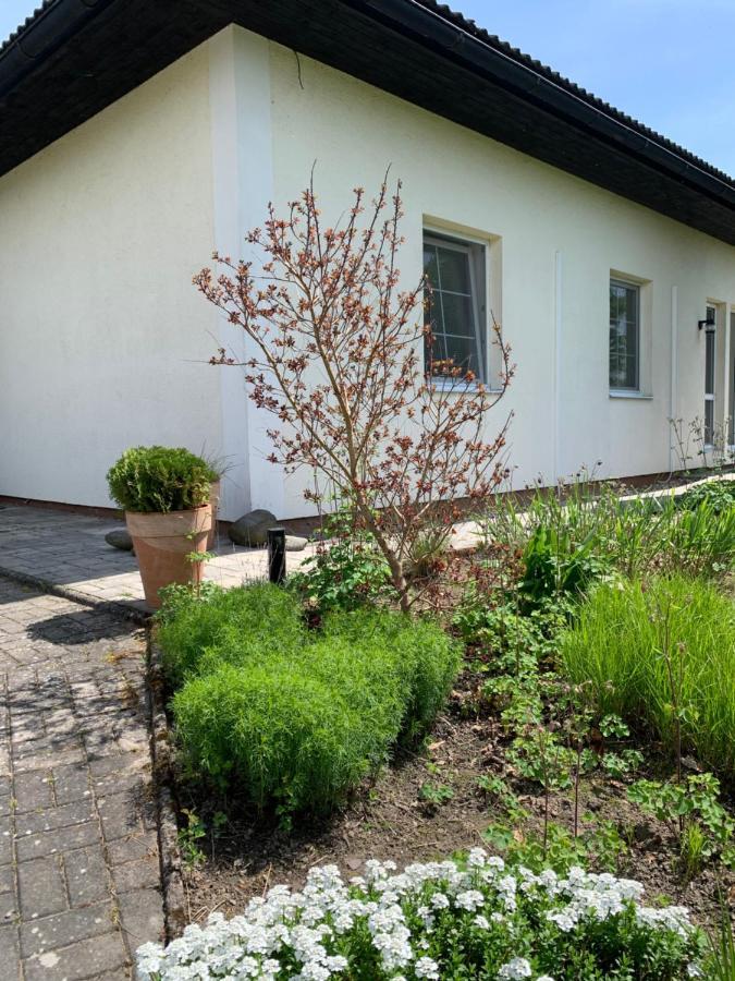 Studiovy Apartman V Zahrade Police nad Metují 외부 사진