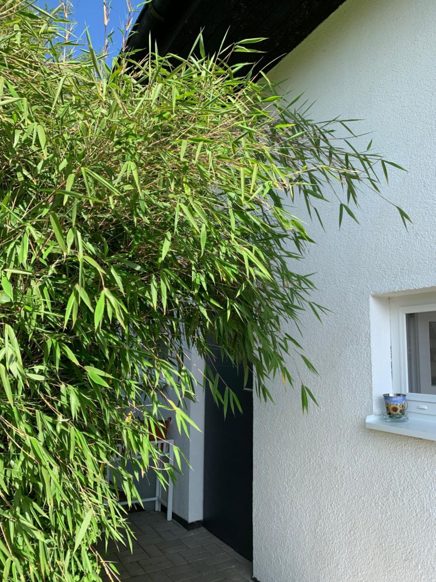 Studiovy Apartman V Zahrade Police nad Metují 외부 사진