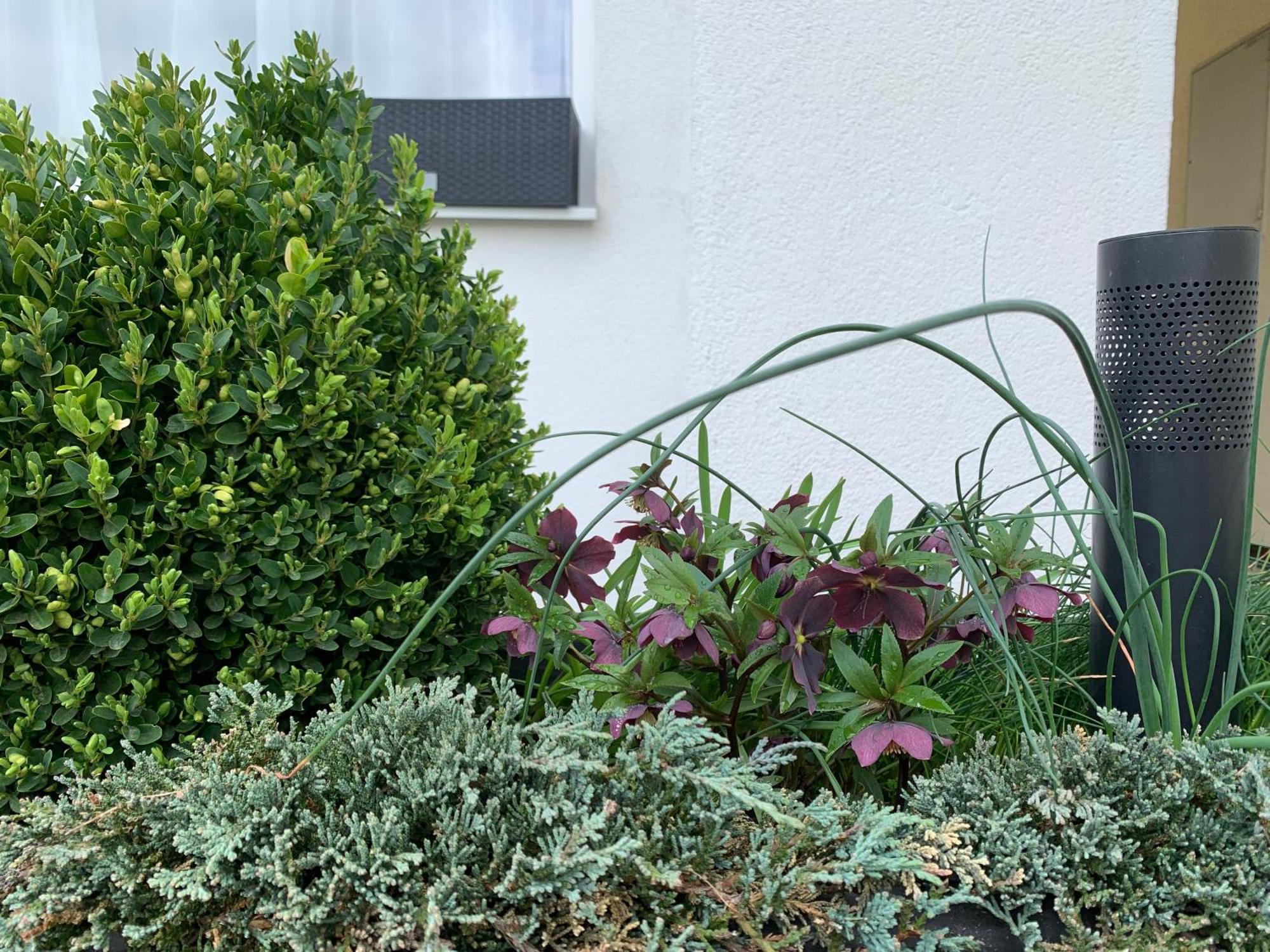 Studiovy Apartman V Zahrade Police nad Metují 외부 사진
